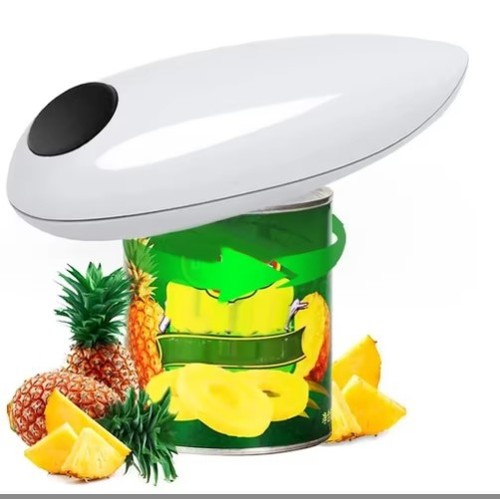 Electric rechargeable - electric,
