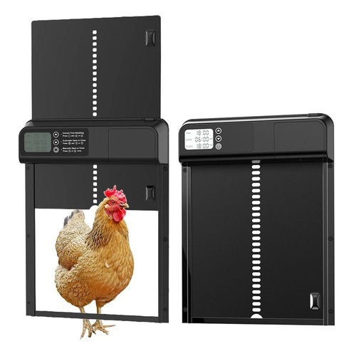 Automatic chicken coop - chicken, door