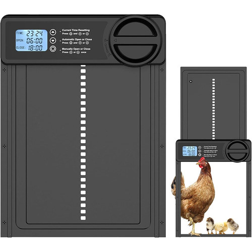 Automatic chicken coop - chicken,