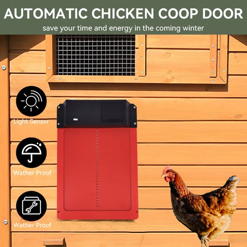 Automatic chicken coop - automatic,